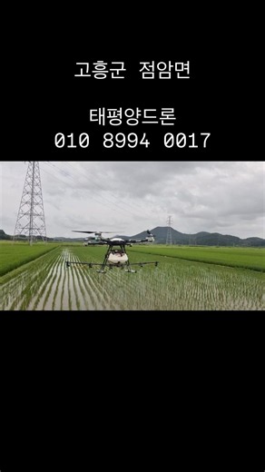 드론방제!농업용드론 농약살포!!!!!태평양드론 010 8994 0017 #농업 #농사 #농촌 #청년농부 #농약 #농약사 #dji #drone #farming #청소드론