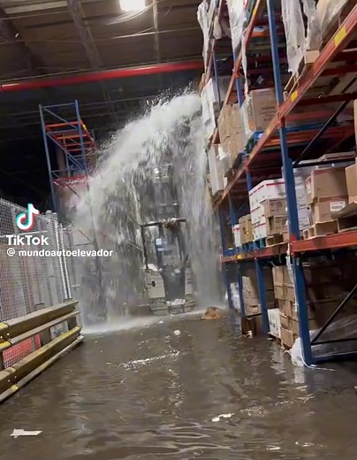 Oh not again 😩 #TrainerSuccess #newstart #help | Safety 1st Forklift Training