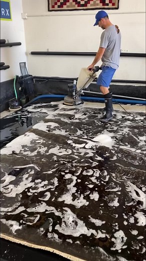 Let’s make this dirty rug clean again💪 #superdirty #foamysoap #soapandwater #savetherugs #cleanitup #oddlysatisfying #rug #rugs #az #arizona #family #familybusiness #sofresh #soclean #scrub #scrubbing #scrubber #brush #brushing #cleaningasmr #rugsforlife #rugsnotdrugs | Rug Worx