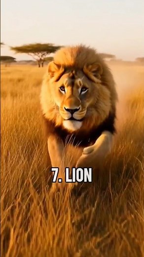Top 10 Fastest Running Animals on Earth 🐆