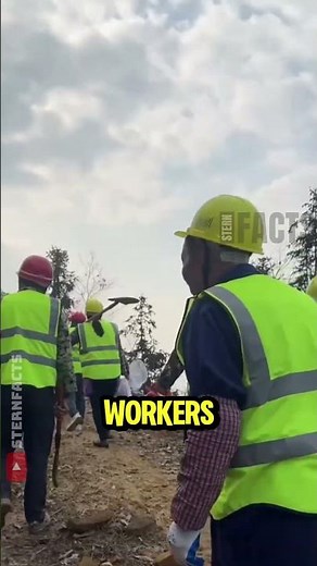 Burning Trees to Save Forests