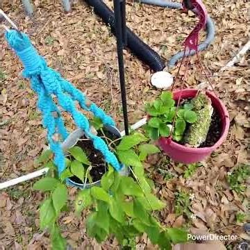 365 creativity challenge day 12