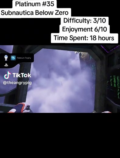 TheAngryPig on TikTok