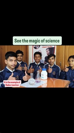 Sai Public School on Instagram: "#school #activity #redox #reaction #KMnO4+vitamin C"