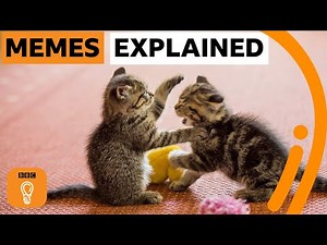Internet Memes Explained