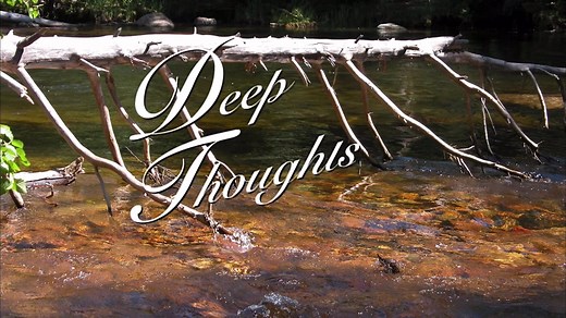 #deepthoughts #deepthoughtsbyjackhandey #snl | Deep Thoughts