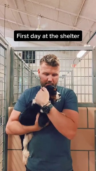 Heartwarming Shelter Dog Adoption Story