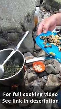 What Is Sea Spaghetti? Cooking Thongweed on the Coast 🌿🍳
