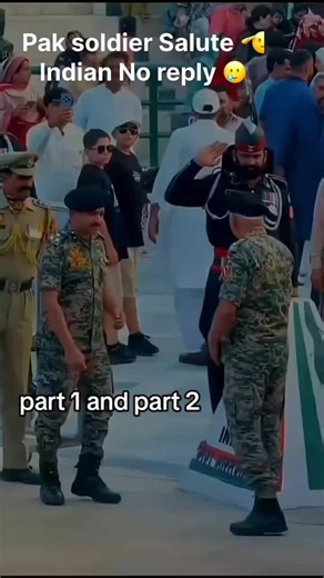 Pakistan vs India Border Collie Reaction Video