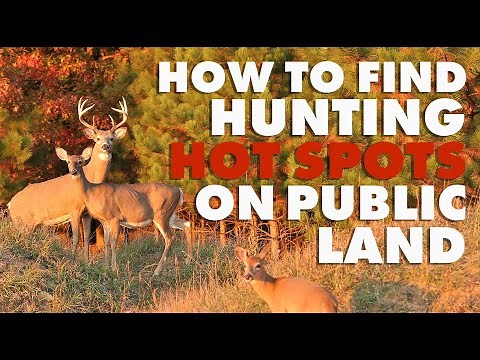 How to Find Hunting Hot Spots on Public Land
