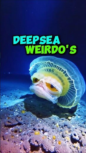 Sea Freaks You Won’t Believe Exist 😱❗❗