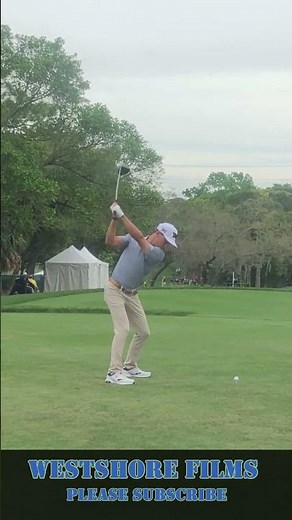 Eric Cole Golf Swing Valspar Championship 2024 #shorts #golf #golfcourse