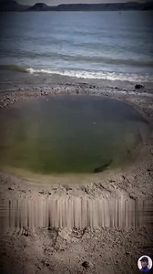 This Little Fish Taught Me a Big Life Lesson #fish #omg #fy #fyp | Animal baby4414