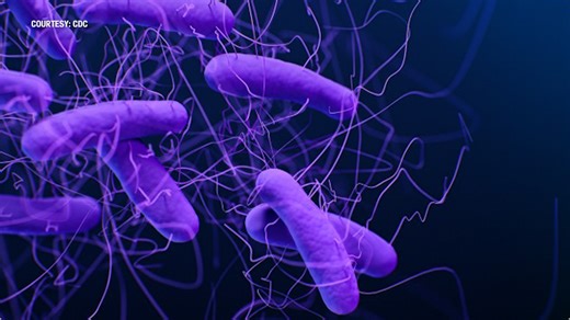 Upstate recruiting over 1,000 seniors for Clostridioides Difficile vaccine study