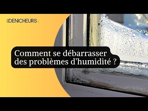🪟 💦 Vitres des fenêtres : comment se débarrasser des problèmes de condensation et d’humidité ? ⭐🌟