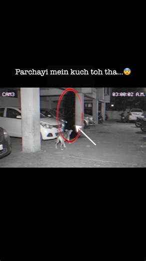 3:00 AM… Dogesh Bhai Ko Parchayi Mein Kuch Mehsoos Hua 😨