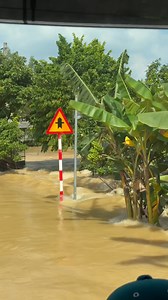 1.5M views · 10K reactions | Tại Đông Sơn nước vẫn siết như thế này.. k biết bao giờ bà con mới được về cs bình thường đây ... Thương.. | Trịnh Thu Hiền | Facebook