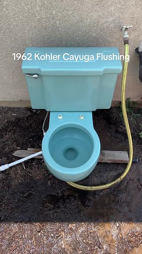 Vintage 1962 Kohler Cayuga Flushing Demonstration