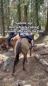 Giddy up! The 2025 horseback riding season officially opens for the season Memorial weekend! Kennedy Meadows Resort & Pack Station will open for horseback riding lessons Friday May 23rd and Aspen Meadow Pack Station on May 25th until early October. Get away from it all at the gateway to the Emigrant Wilderness 🐴 📍 Kennedy Meadows Resort & Packstation & Aspen Meadows Pack Station #VisitTuolumneCounty #WanderFreely #VisitCalifornia | Visit Tuolumne County