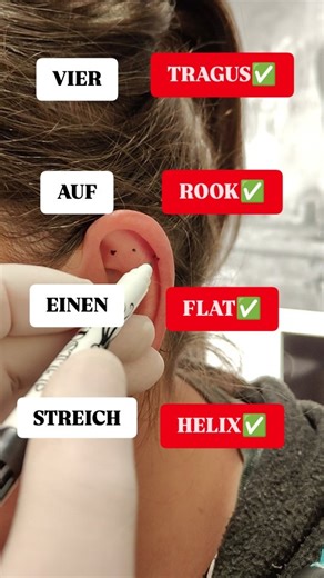 Pauls Piercing Point | 🔥VIER auf einen Streich🔥 Wir durchleuchten euren Ohrknorpel damit wir nix kaputtgestechen Tragus, Rook, Flat und Helix Pflegezeit 6... | Instagram