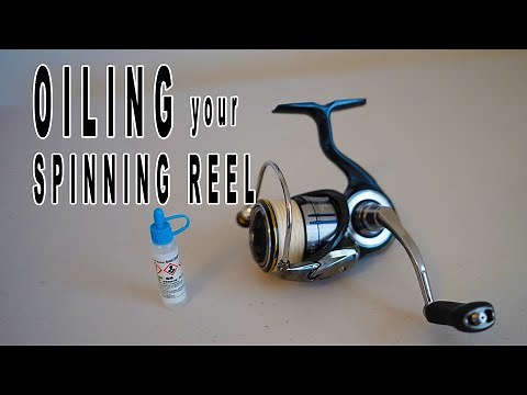 How to Properly Oil Spinning Reel