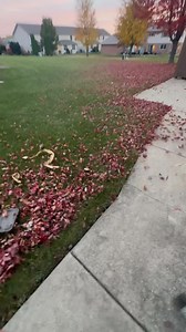 Austin Eades on Reels