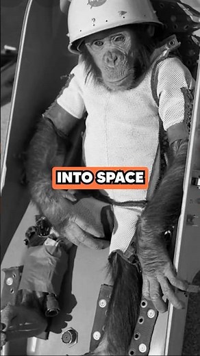 What Happened to the Monkey Sent to Space?