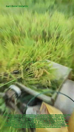 Epischer Ernte-Kampf: Kompakte, tragbare Dreschmaschine gegen industriellen Mähdrescher