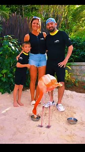 16K views · 432 reactions | Spent the day over at @discoverycove with the family and the flamingos! #memories #discoverycove | Chris Kirkpatrick | Facebook