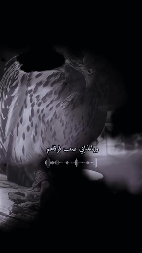 Creative Video Design Tips for Beginners