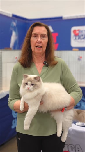 5.3K views · 54 reactions |  If you love them, protect them. ...