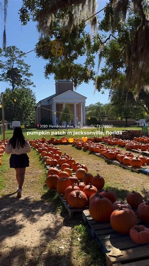 Cute Pumpkin Patch in Jacksonville, Florida
