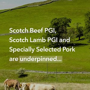12 reactions | Scotland's farmers and crofters Delivering a difference for decades! @nfusargyllandtheislands @NFUSAyrshire @NFUSFandC @nfuseastcentral @nfusdumfriesandgalloway @NFUSNorthEastRegion @NFUSLothiansBorders @NFUSHighlandRegion @NFUSOrkney @NFUSShetland | NFU Scotland | Facebook
