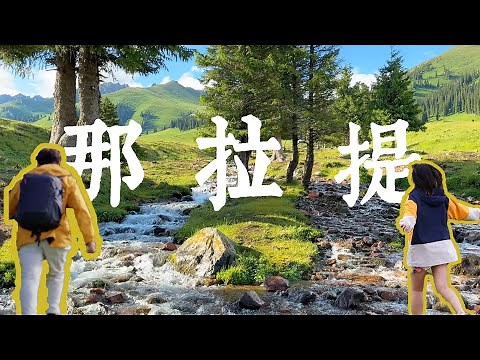 4K | 中國旅遊 | 新疆Vol.4 那拉提草原 新疆伊犁最著名景點 | Nalati Grassland Travel to China Xinjiang Road Trip