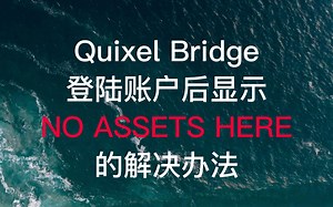 Quixel Bridge 登陆账户显示 NO ASSETS HERE 的解决办法