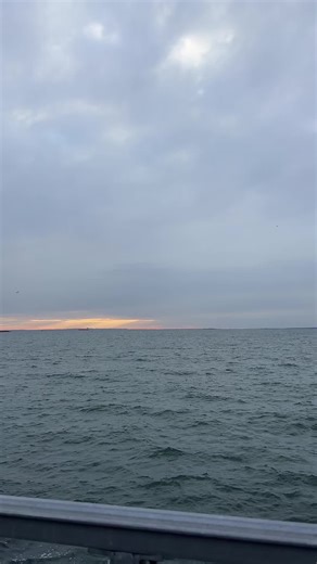 alien9irl (@alien9irl)’s videos with sonido original - Focus