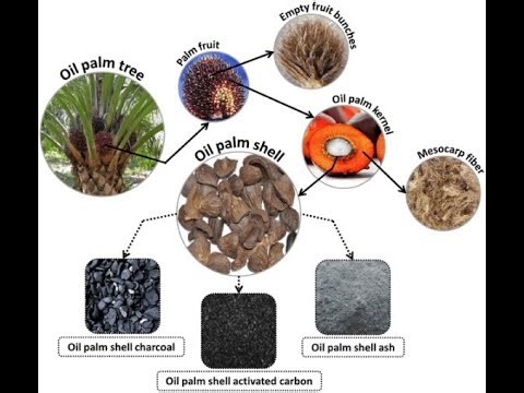 PALM SHELL CHARCOAL (BIOCHAR) - NOTHING GOES TO WASTE - WE ADD VALUE $$ TO ALL PALM BY PRODUCTS!