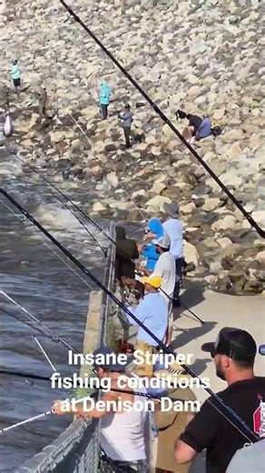 Crazy and crowded Striper fishing conditions at Texoma Denison Dam #catchandrelease
