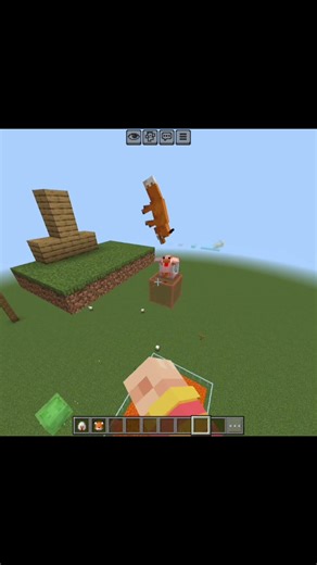Minecraft fox VS chicken #shorts