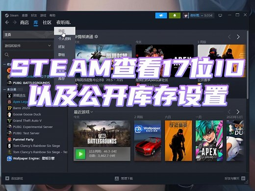 Steam如何查看17位ID以及公开库存教程