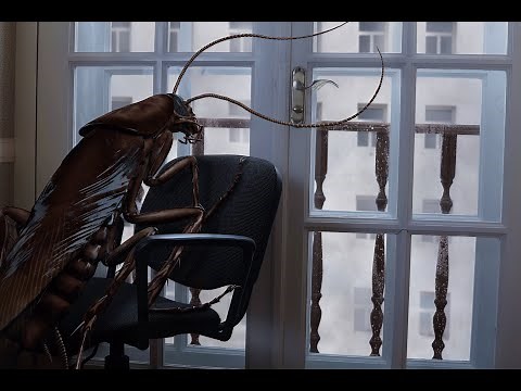 The Metamorphosis - Official Trailer [Full HD]