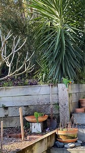 Australian bird #birdwatching #australia #viralreelsfacebook | Growwithnith