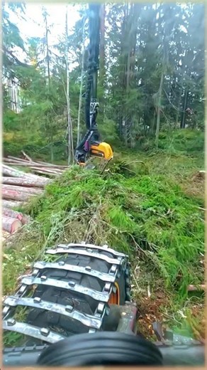 Part 012 Feller Buncher operator skills