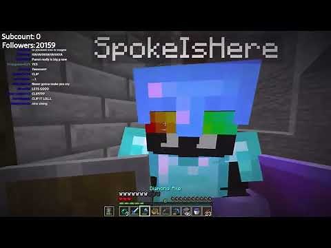 Parrotx2 Singing Drivers License On Stream | box_face #minecraft