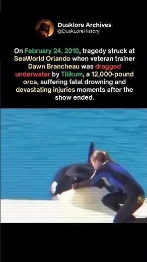 SeaWorld’s Most Shocking Tragedy‼️
