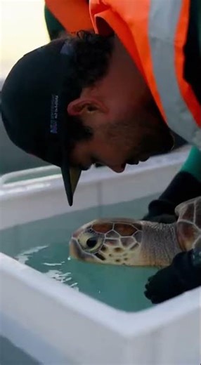 Ocean Heroes: Heart-Stopping Sea Turtle Rescue from Fishing Net | Emotional Wildlife Rescue at Sea❤️