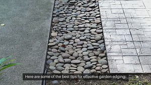 Best Tips For Garden Edging
