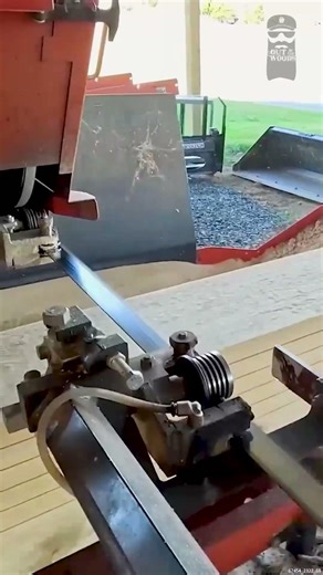 My Favorite Tree To Saw #sawmill