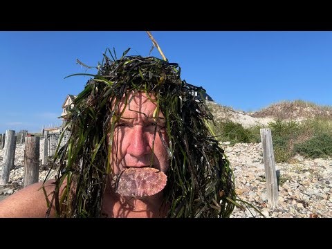 Fresh Catch ~ Gulls Consume A Live Fish Here ~ Not In A Hurry Sunday Beauty Dunes Of Saquish Day 3
