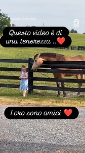 730K views · 19K reactions | NON C'E' NIENTE DI PIU' BELLO CHE UN'AMICIZIA TRA ANIME PURE ❤ | La Verità ci Rende Liberi - Advanced Mind | Facebook